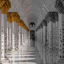Grand Mosque Columns B&W