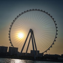 Ferris Wheel Dubai Sunset