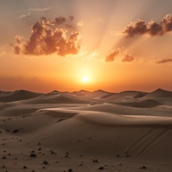 Sunset Abu Dhabi Desert 