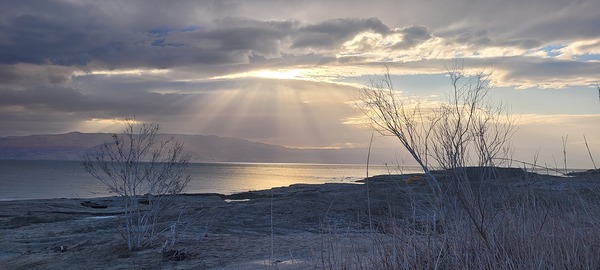 Sun rays Print