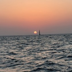 pure sea