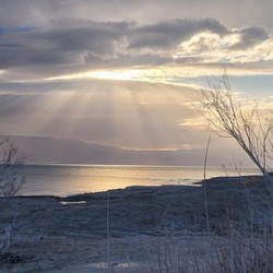 Sun rays