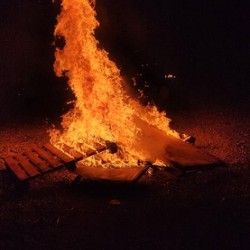  burning love