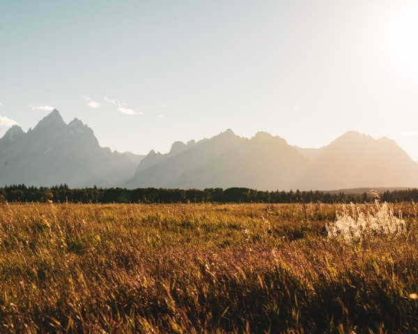 Grand Tetons by Lindsey Koehler Photography