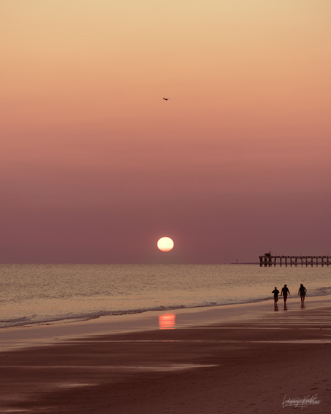 American Summer by Lindsey Koehler Photography