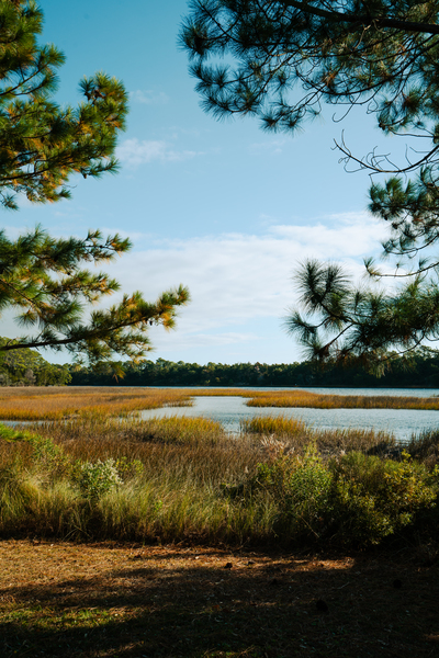 fallwindow by Lindsey Koehler Photography