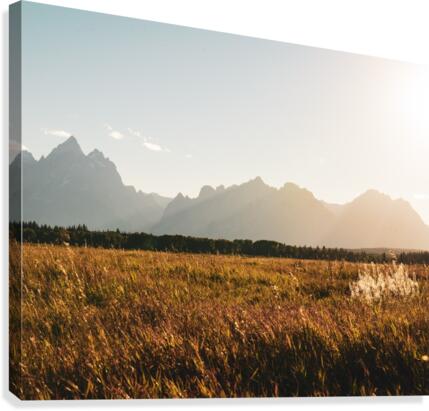 Grand Tetons Canvas Print