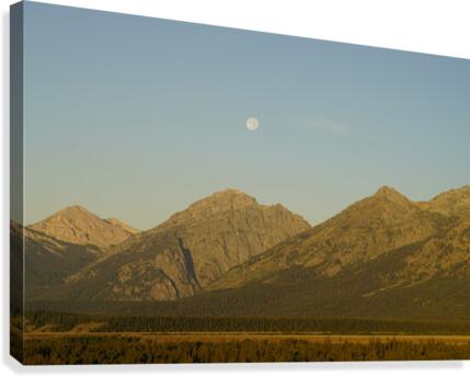 Desert Super Moon Canvas Print
