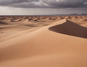 Timeless Desert Landscapes 61 by Aura Gallery