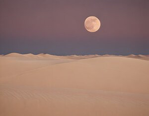 Timeless Desert Landscapes 60 by Aura Gallery