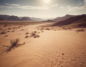 Timeless Desert Landscapes 43 by Aura Gallery