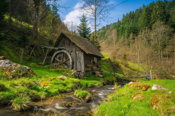 mill Print