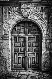 Alamo Entry Doors 5455