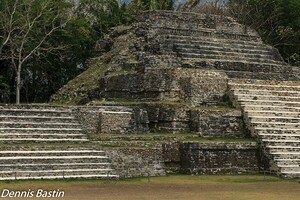 Altun Ha Mayan 81