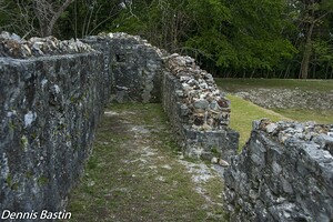 Altun Ha Mayan 45