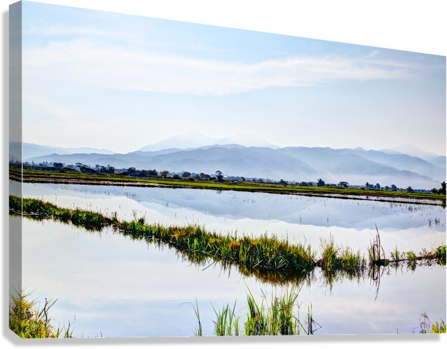 Nueva Ecija-Rice Patties 7571 Canvas Print