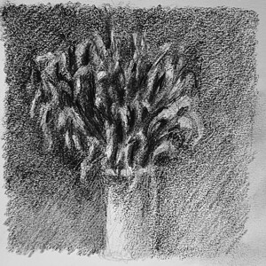 20230716 231718 2   Copy