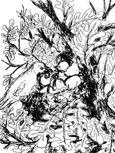 20240125 205643 3   Copy