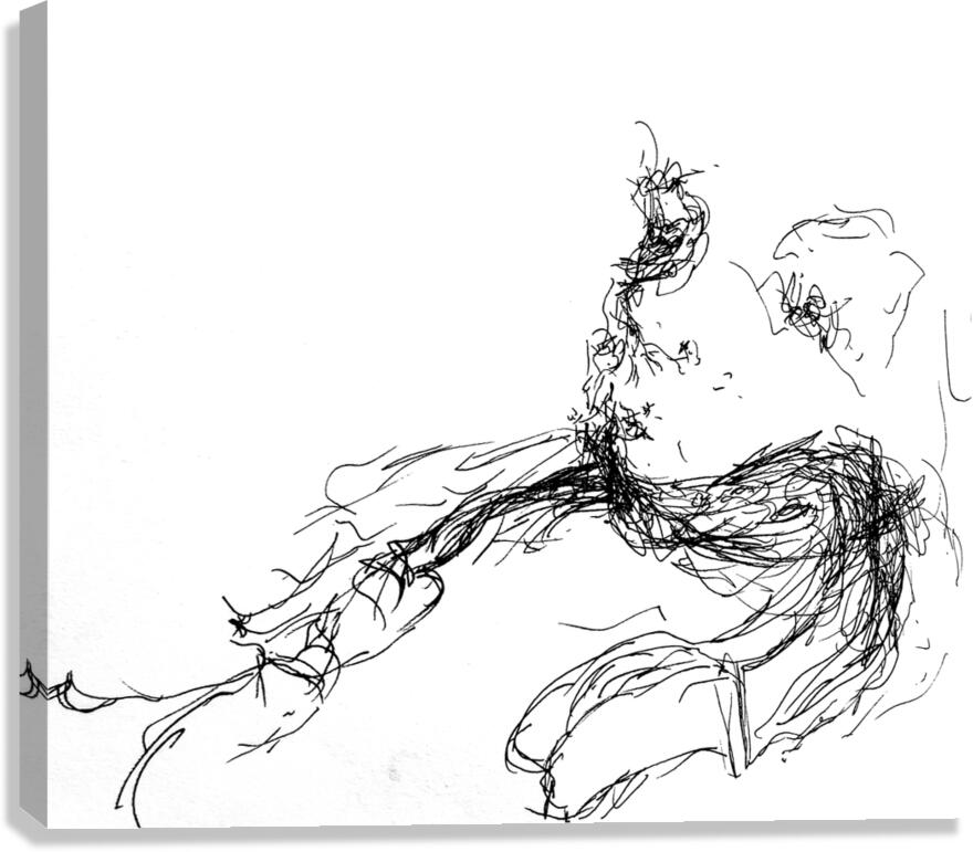 PSX 20241225 064411 Canvas Print