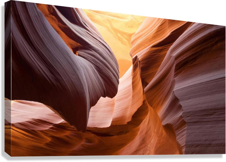Canyon Canvas Print
