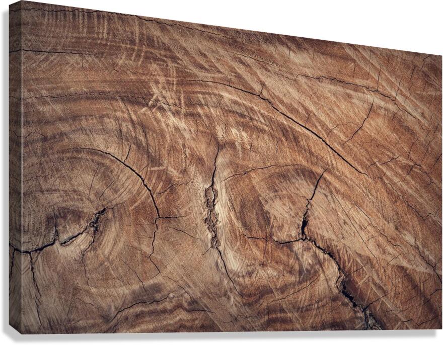 Wood wall Canvas Print