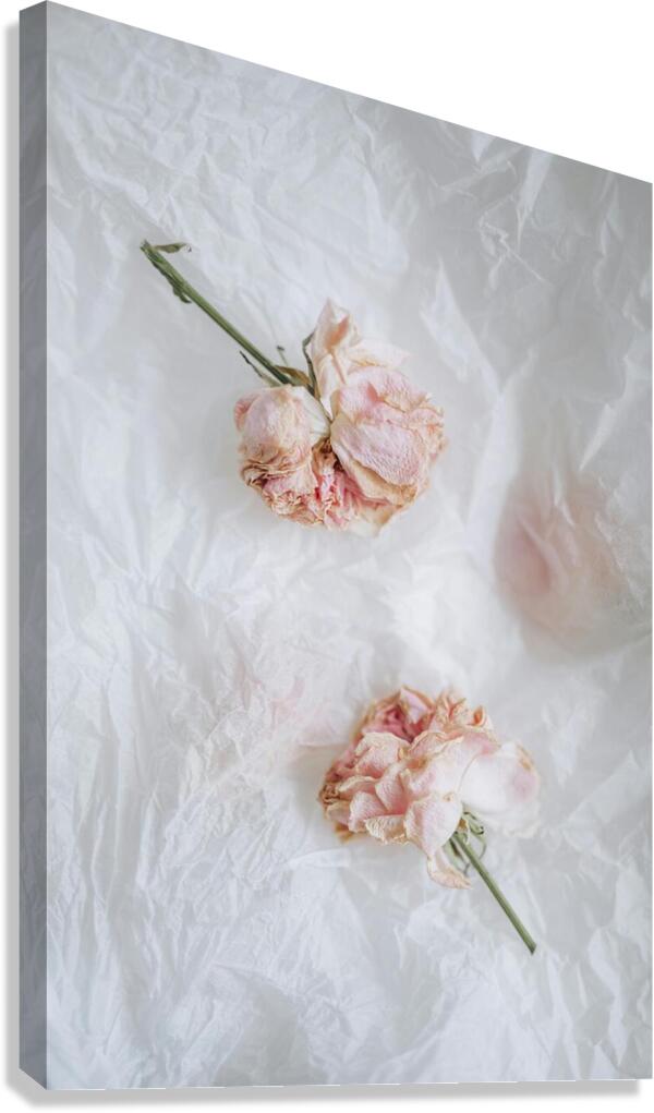 Flo Twin Canvas Print