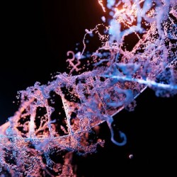 the cradle of life