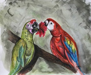 Collection COSTA RICA - Parrots