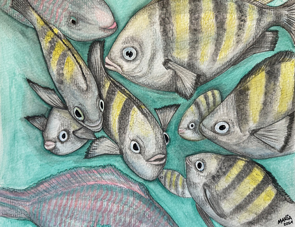 Collection TREASURE OF THE SEA - Fish Print