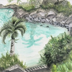 Collection BERMUDA - Bay