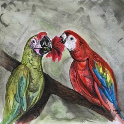 Collection COSTA RICA - Parrots