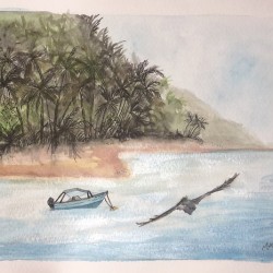 Collection COSTA RICA - Playa Manzanillo