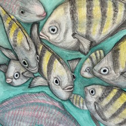 Collection TREASURE OF THE SEA - Fish