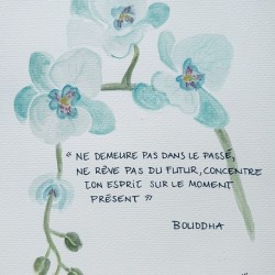 Collection SPIRITUAL - Buddha and orchid