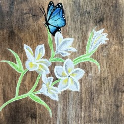 Collection WAVES - Nosara beach