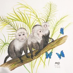 Collection ROATAN - Monkey