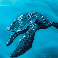 Collection HAWAII - Turtle 2