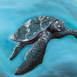 Collection HAWAII - Turtle