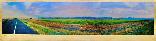 Fire season Print