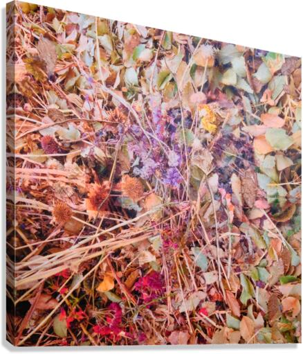 Compost Canvas Print