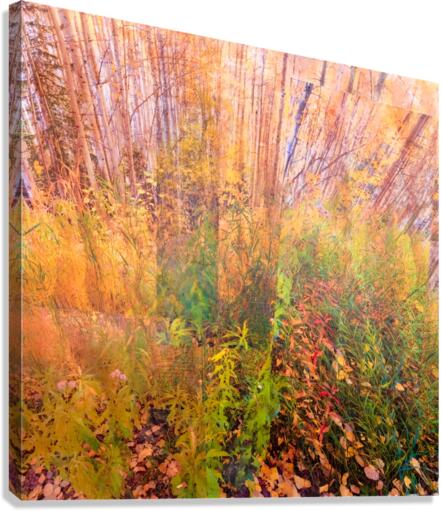 Autumnal Canvas Print