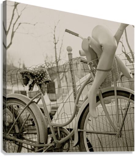 Limbs Canvas Print