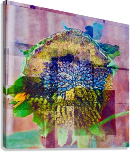Much Loved Canvas Print