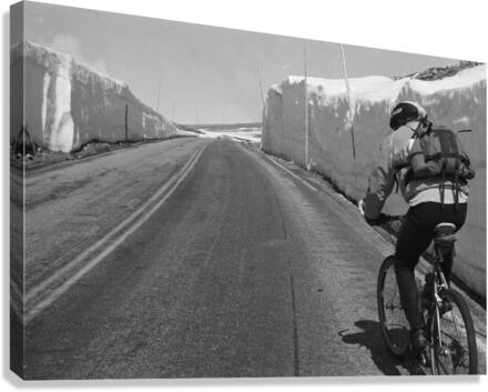 riding toward spring Canvas Print
