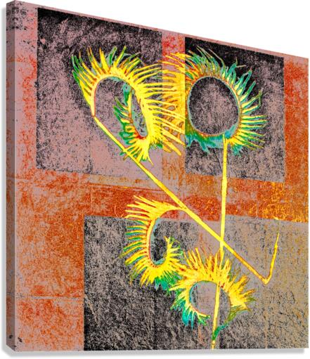 Burma grass Canvas Print