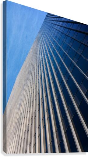 Look Up Canvas Print