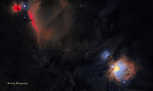 Orion