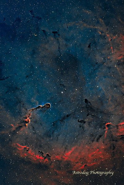ElephantTrunkSHO Print