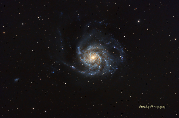 M101 Print