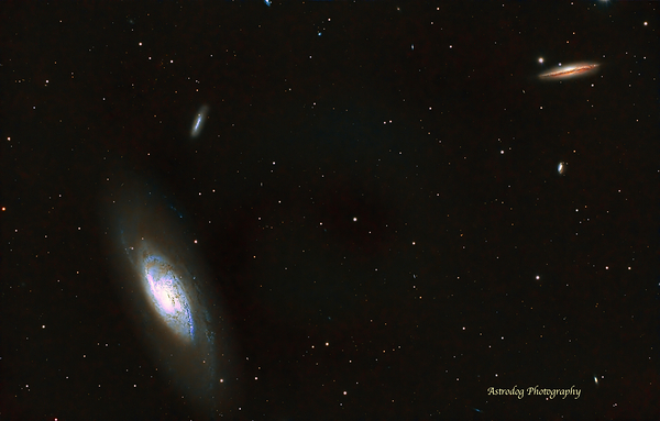 M106C Print